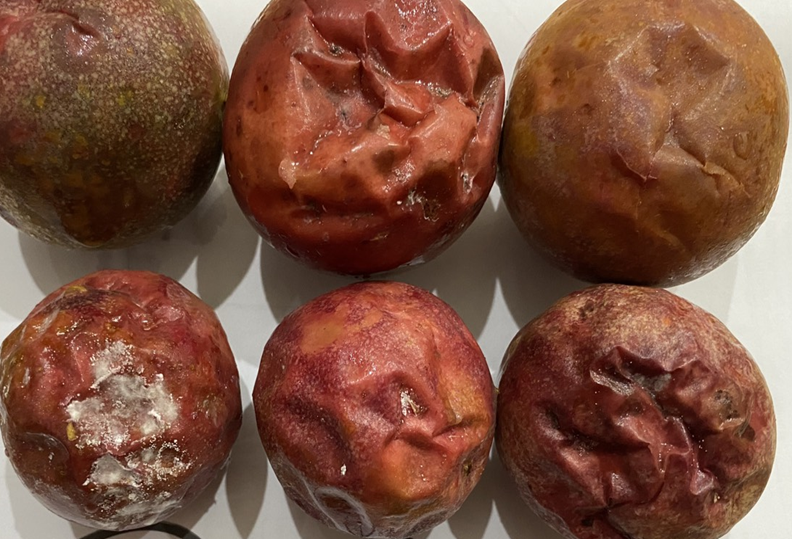 Dung dịch Khử nấm mốc cho quả chanh leo