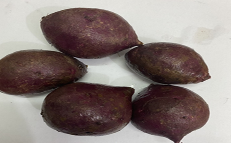  Mẫu khoai lang tím được được xử lý bằng ClO2